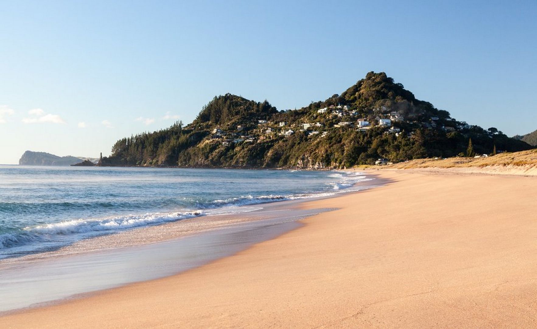 Our Top 3 Coromandel Beaches